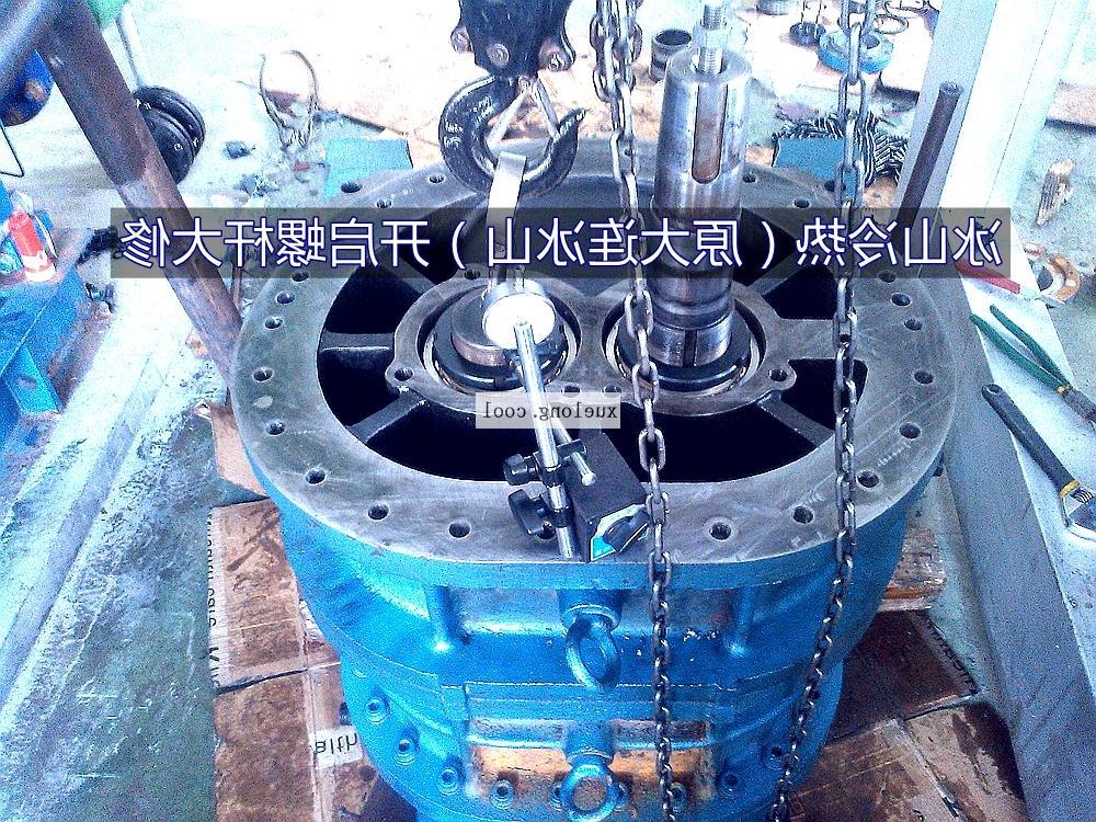 伊犁哈萨克自治州大连冰山KA（F）系列LG系列螺杆大修
